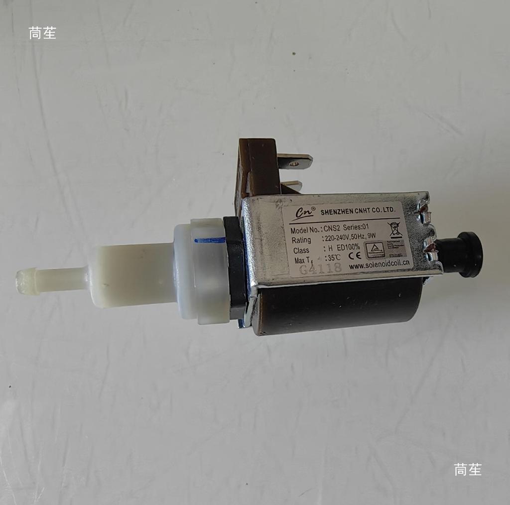 Handheld Garment Steamer Accessory: SNS2 9W Solenoid Valve Micro Pump 220V