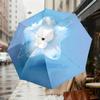 Entzückender Katzen-Sternenhimmel-Regenschirm - Automatisches Öffnen & Schließen, Outdoor-Reiseaccessoire, Leicht und Langlebig, Perfektes Geschenk 092