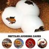 Vivid Reptile AndInsects Hiding Cave Animal Pet Shelter EggsShell Simulation Shape Rock Cave Decoration For Turtle Lizard Snake