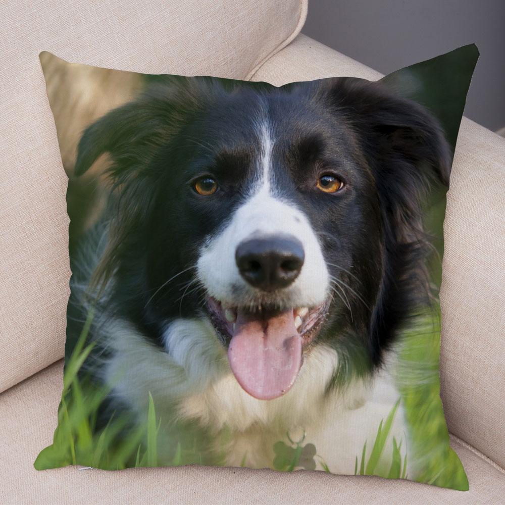 Cute Pet Animal Dog Print Pillowcase Scottish Border Collie Cushion Cover  Sofa Car Decoration