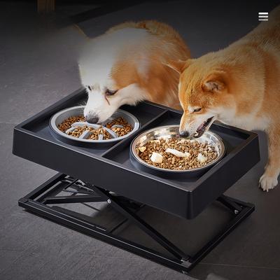 Perros – Proveedores de agua y alimento