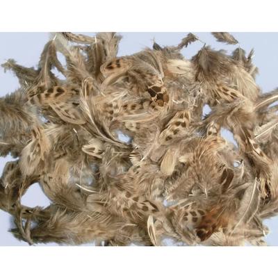 Mixture of Feathers - Petit-point - 4-6 Cm - 10 G - Sct.-LS