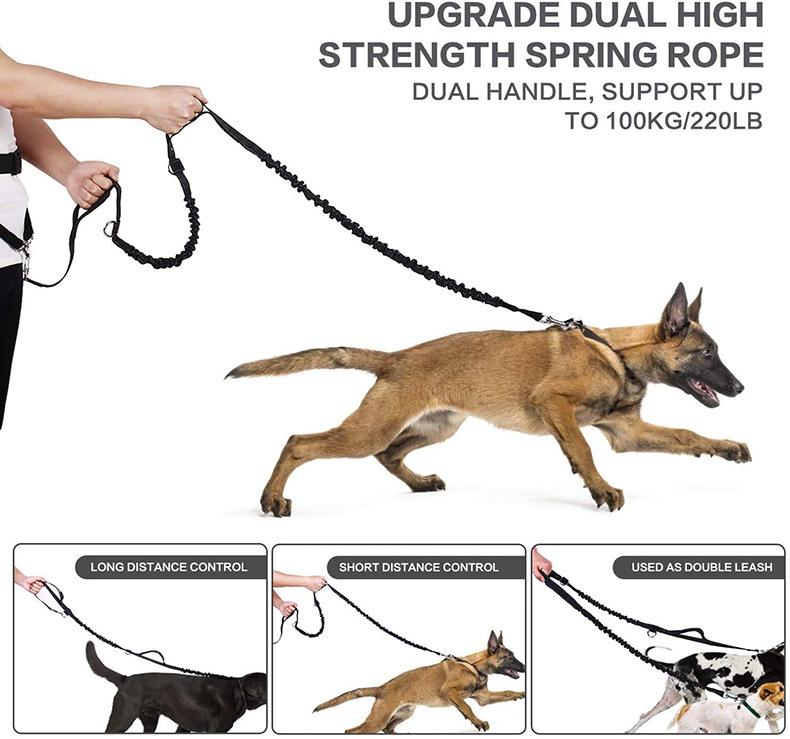 Multifunctional Sports Waist Bag for Running, Fitness, Dog Walking, and Outdoor Activities