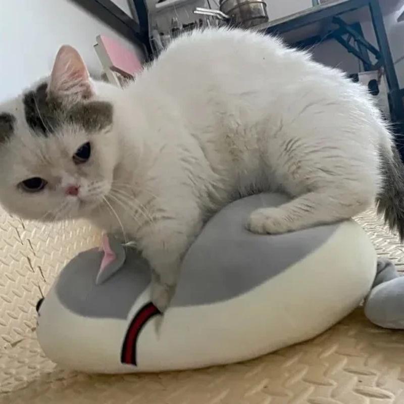 Creative Fun Male Cat Estrus Toy Cute Interactive Mating Self High Sex Sleeping Pets Companion Cats Doll Relief and Relaxation Pet Products Supplies