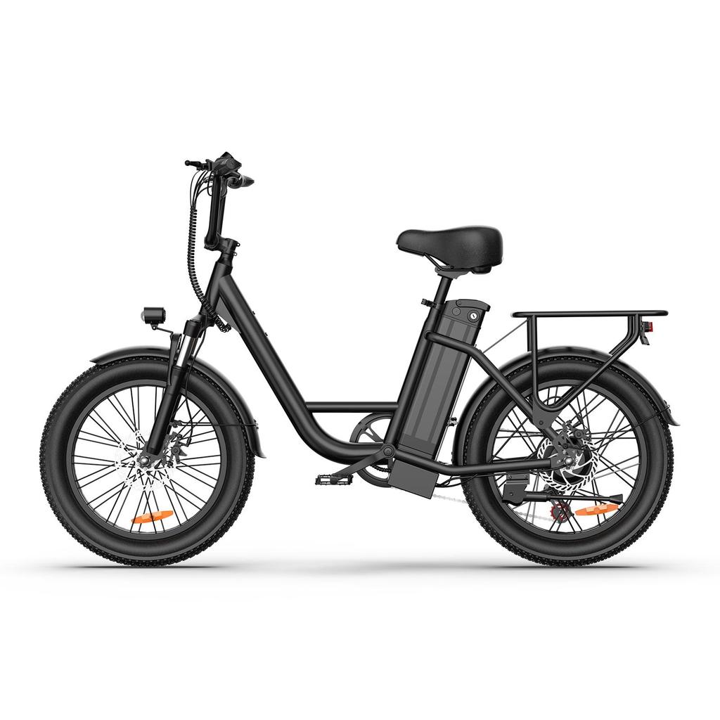 URLIFE-E20 20"x3" Fat Tire Electric Bike 250W Motor 48V 13AH Battery 80-100KM Range Ideal for Commute & Adventure