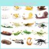 Detaillierte Pvc Insekten- und Tiermodell-Spielzeuge Schnecke Libelle Mücke Grashüpfer Realistische Lebenszyklusstadien