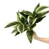 Creative 14 Leaves Artificial Plant Evergreen Photo Props Scene Making Greenery Leaves Green Plant Wall Home Decoration