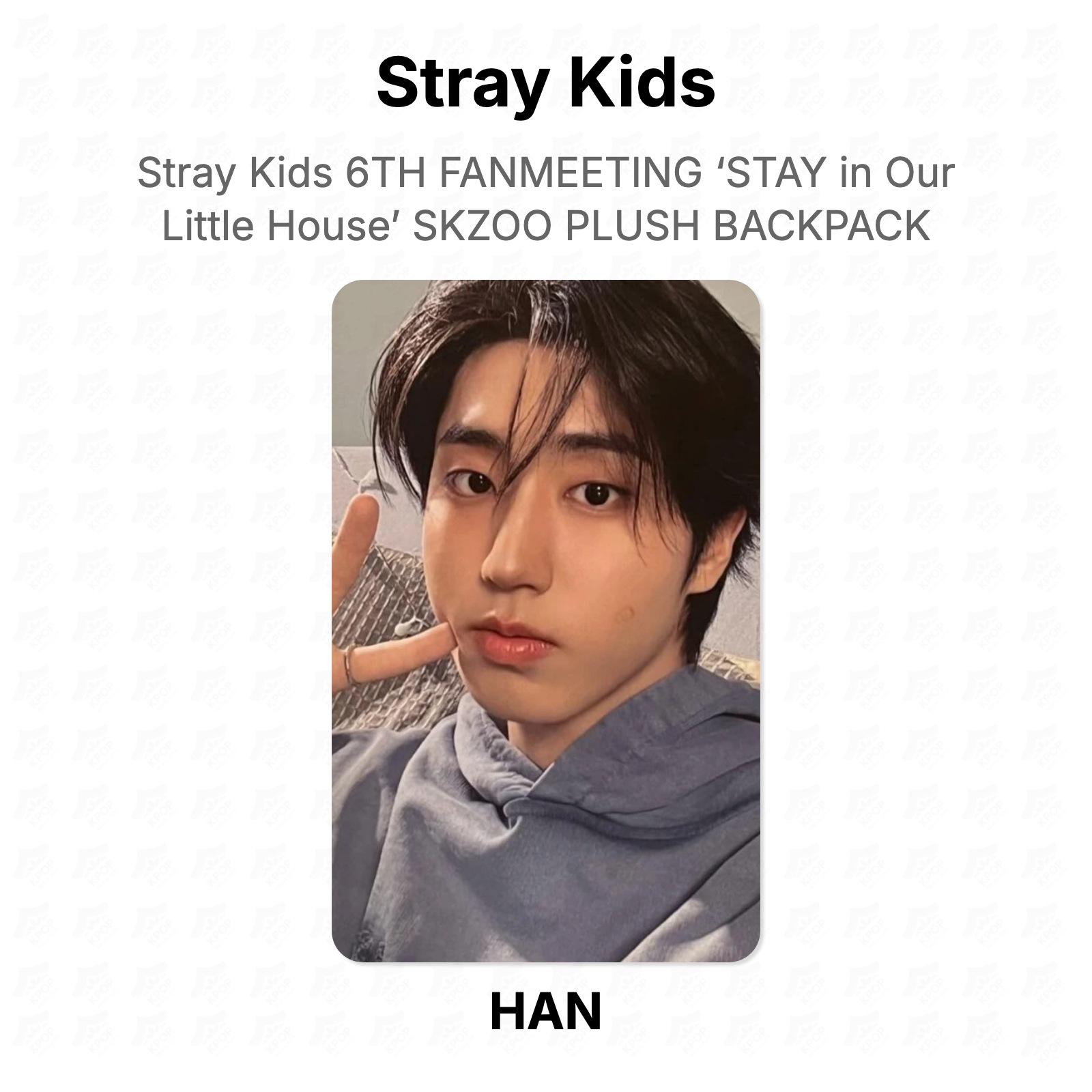 Stray Kids 6. FANMEETING `STAY in