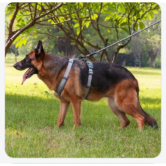 Dog Leash Harnesses Vest Style Large Medium and Small Dog Pet Explosion-proof Harness Dog Walking Rope