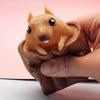 Squeezing Squirrel Cup Toys Silicone Stress Relief Decompression Stump Rubber Stake Fidget Toys Gift For Kids Adults