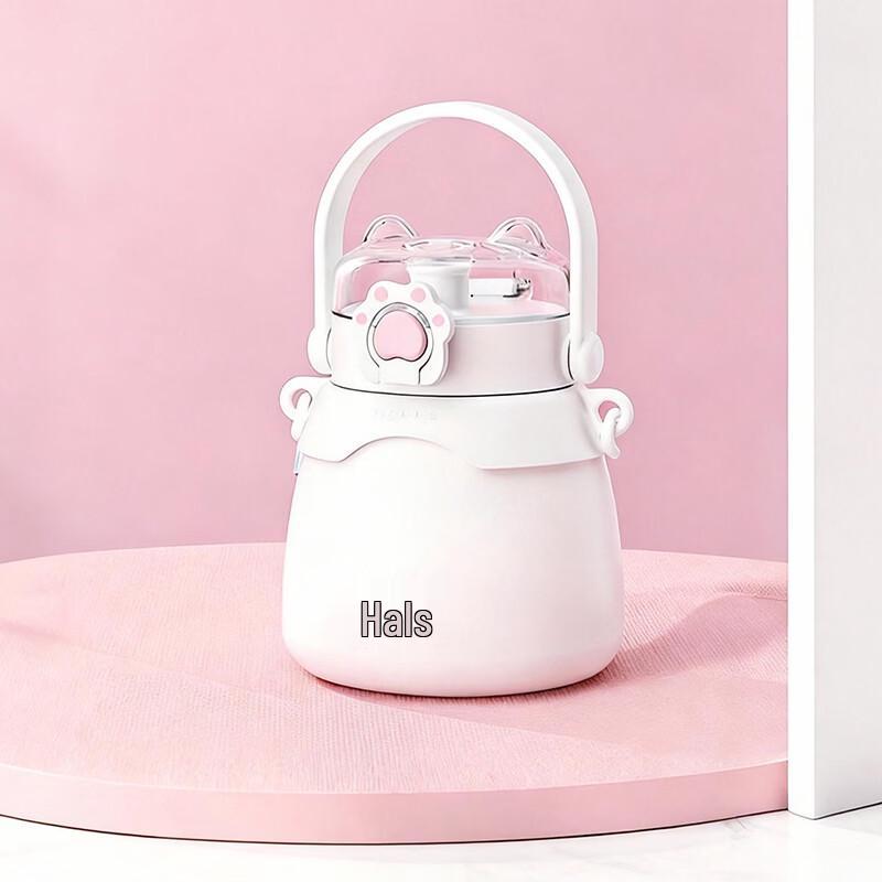 HAERS Children s 316 Stainless Steel Insulated Straw Bottle