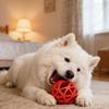Interactively Treat Dispensing Pet Toy For Mental Stimulation And Chewing Fun High Quality Rubber