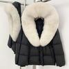 Removable oversized fox fur collar women's short down jacket women's winter new hooded waist and thin fur jacket
