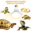 Controller Bird Snake Lizards Turtle Basking UVA Day Night Reptile Lamp Bulb Heating Lamp