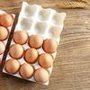 2PCS PP Egg Storage Container 3 Rows Egg Preservation Box Fresh Egg Tray Holder  Kitchen