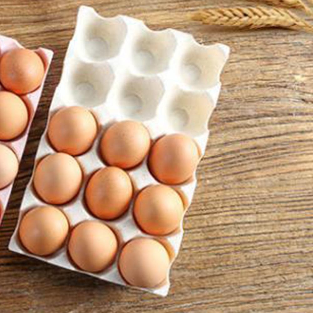 2PCS PP Egg Storage Container 3 Rows Egg Preservation Box Fresh Egg Tray Holder  Kitchen