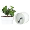 HOT Hiddens Safe Plastic Flower Pot Money Storage Box Surprise Separable Security Container Stash Safe Box Stash Jars Piggy Bank