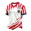 Men's Casual Printed V-Neck Short Sleeve T-Shirt Lightweight Breathable for Everyday Summer Wear