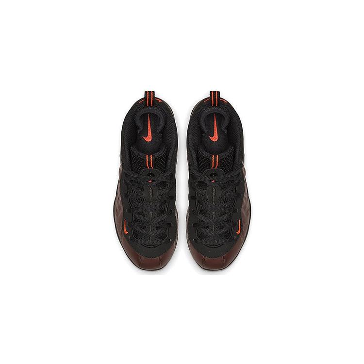 Nike Air Foamposite Pro Color Shift PS 843755-800