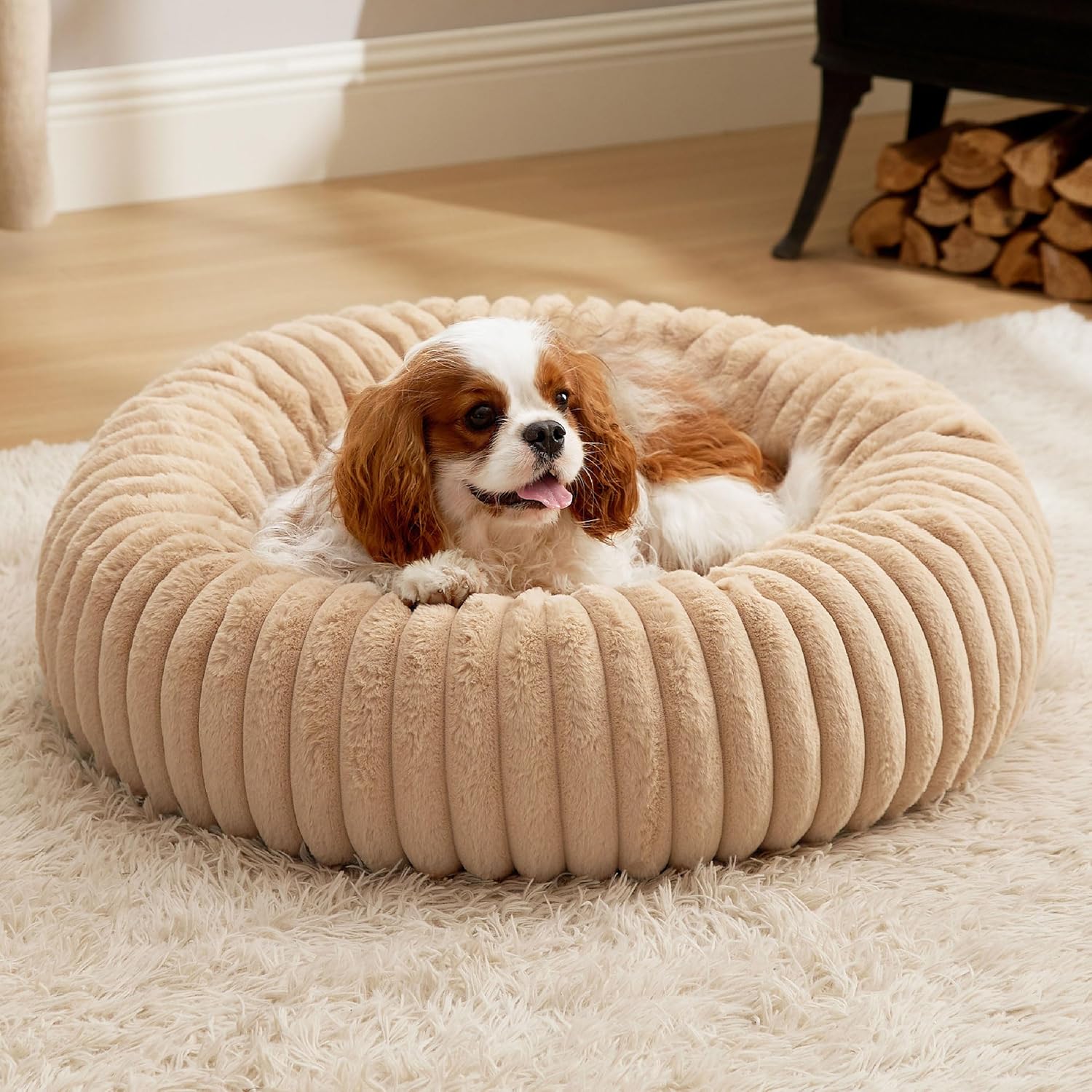 

Donut Medium Dog Bed 30x30x8 inches with Waterproof Dog Blankets for Medium Dogs 30 x40 , Tuscan Beige United States