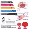 Electric Penis Pump Vacuum Pump Penis Enlargement USB Rechargeable Erection Penis Male Enlarger Sex Toy For