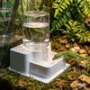 Auto Refill Function Reptile Water Dish Detachable Pet Feeder Station  for Geckos Lizard