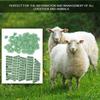 1-100 Number Plastic Livestock r   Animal   for Goat Sheep   (Orange)