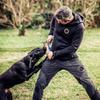 Interactive Dog Toy for Puppy Training Chew Pillow with Jute Rope Fetch Play Bite Resistant Chewing Supplies for Aggressive