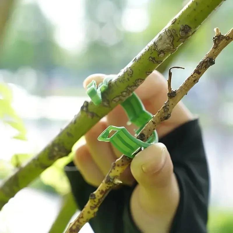 Reusable Plastic Plant Support Clips Garden Vine Strapping Fixing Clip for Climbing Tomato Grape Vegetables Stalk Holders Buckle