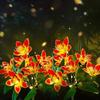Hochzeitsdekoration Solar-Orchideenlicht LED-Blumen Garten Haus Dekoratives Licht Landschafts-Orchidee Rosenlampe Hof Rasenweg Dekor
