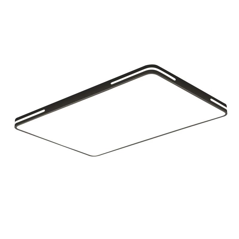 Minimalist LED Ceiling Light