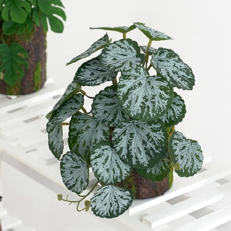 Artificial Amphibian Plants Terrarium Leaves Habitat Decor for Iguana for Turtle