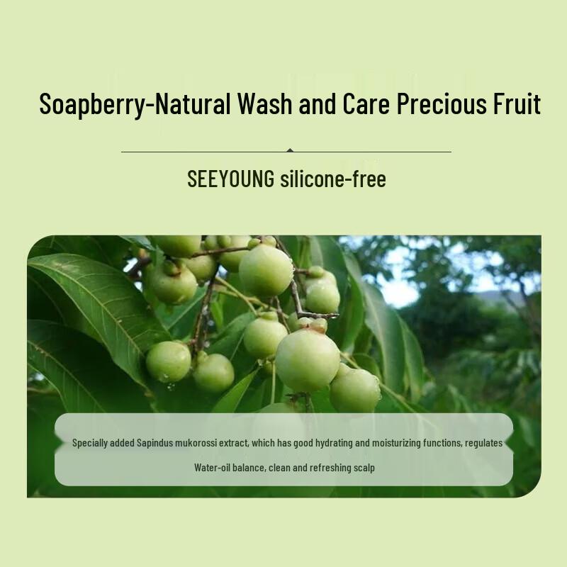 seeyoung Soapberry Oil Control Conditioner