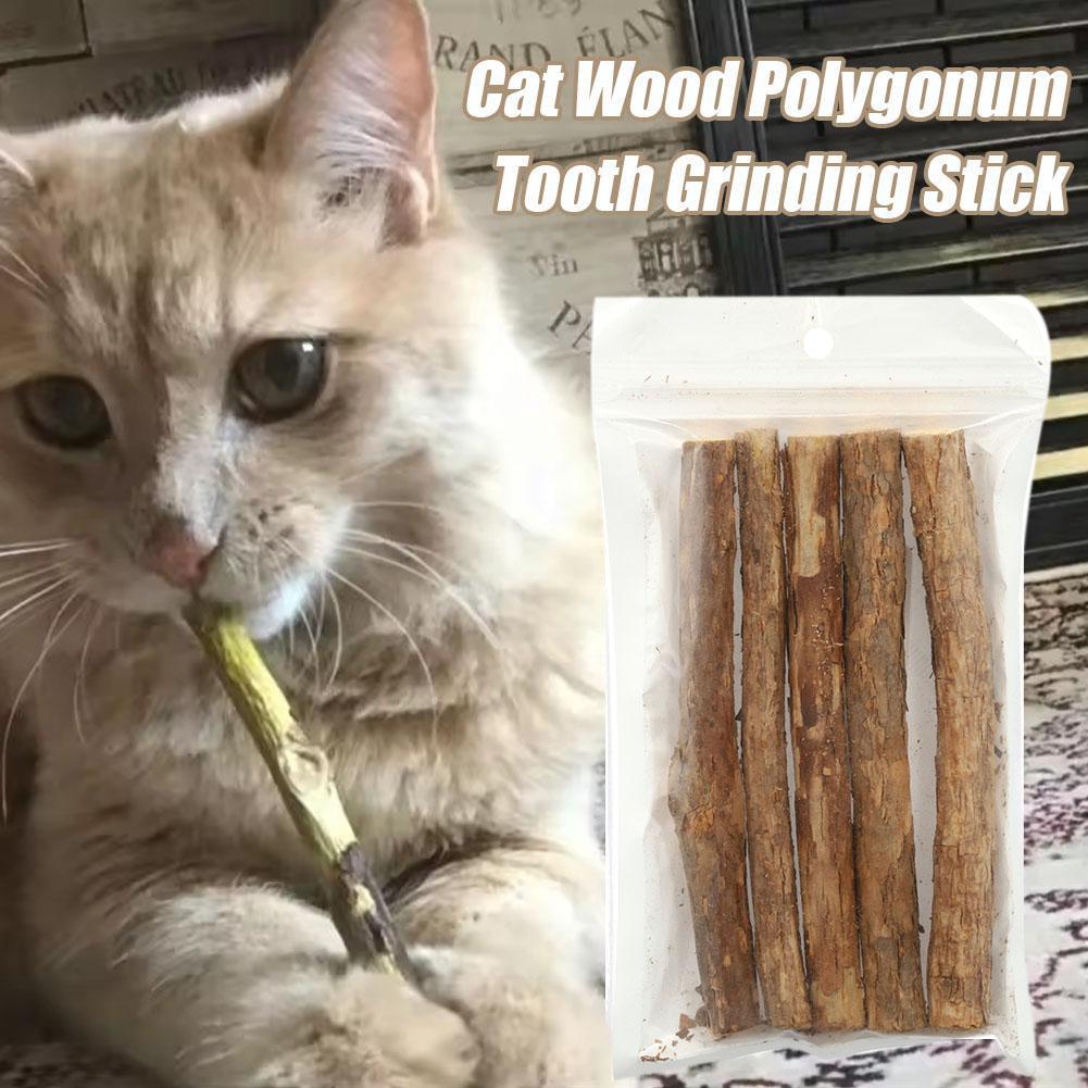 5-50pcs Catnip Stick Pet Cat Molar Toys Natural Wood Polygonum Sticks Cleaning Teeth Relieve Boredom Snacks Chews Toys