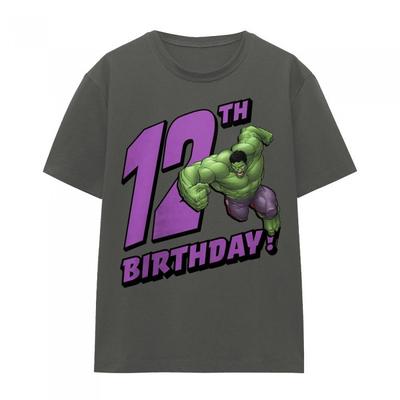The Incredible Hulk Damen/Damen 12. Geburtstag T-Shirt