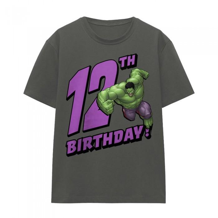 The Incredible Hulk Womens/Ladies 12th Birthday T-Shirt