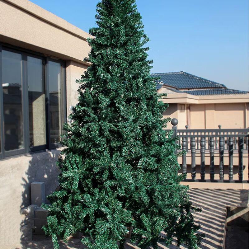Qiuqiao Dense Deluxe Lighted Christmas Tree Set