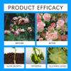 Plant Nutrition Powder Promotes , Increases Leaf Density And Leaves, And Is A Universal Horticultural Fertilizer That Is Easy To Apply By Flushing
