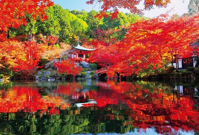 In Beverly Jigsaw Daigoji Temple In Autumn Colors X 72 [Made Japan] 1000-piece Puzzle (49 Cm) 1000-066
