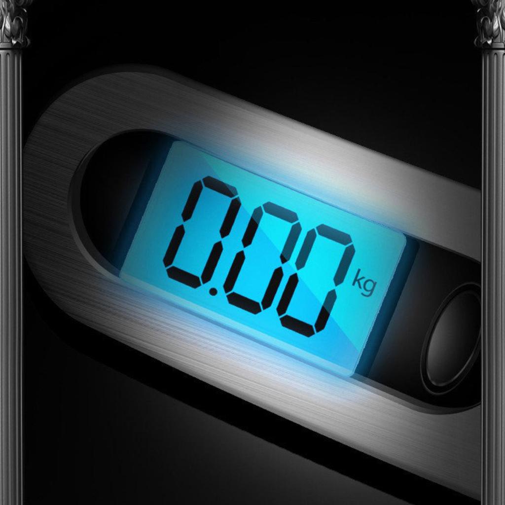 50kg/10g Luggage Scale Portable Electronic Hook Scale Fishing Express Parcel Weighing Scale