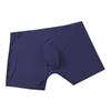 3D Convex Mold Ice Silk Men's Quick-Dry Seamless Antibacterial Boxer Briefs for Teens