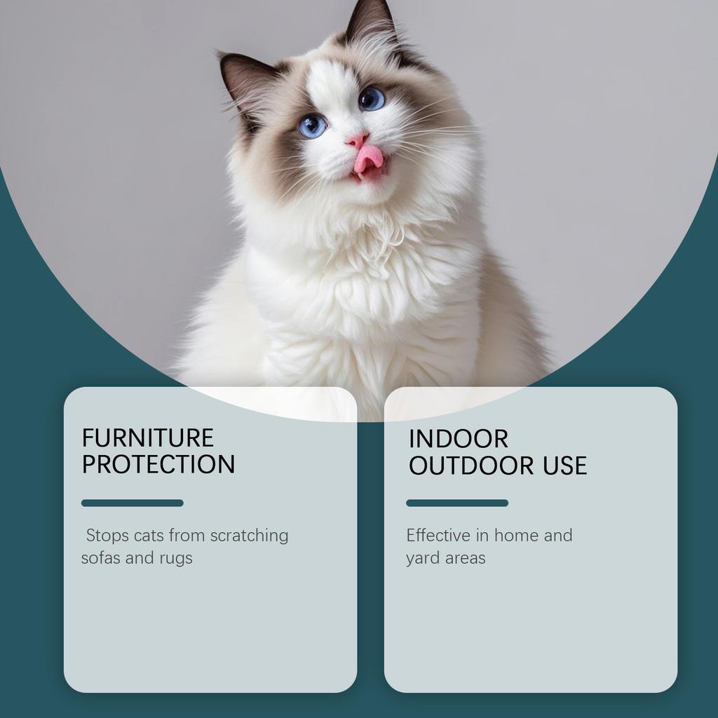 Pet Deterrent Spray Furniture And Sofa Bitter Water Training Spray 100ml