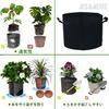 Set of 6 10-gallon Planters, Fabric Pots, Growing Bags, Felt/Non-woven Fabric Pots, Garden Planting Bags, Breathable, DIY, Horticulture, Plant Cultiva
