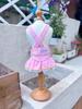 Pet Spring Cowboy Cake Strap Skirt Small Dog Teddy Strap Skirt Dog Dresses for Small Dogs Puppy Clothes