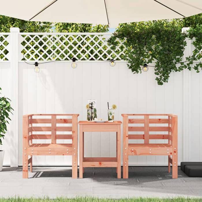 VidaXL Lot de 2 Chaises de Jardin, Sièges avec Accoudoirs, Fauteuils avec Dossier, Meubles de Jardin Patio, Scandinave, Bois 825133