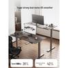 Loctek E3 Dual Motor Electric Standing Desk