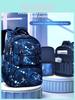 Sesame Baby School Backpack For Kids With Nylon And Breathable Cushion Straps