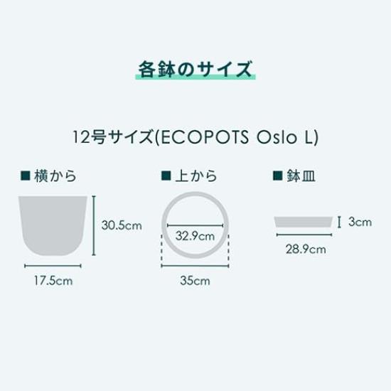 ECOPOTS Oslo Ecopots AND PLANTS White Pot L (4. Gray, (No. 12))