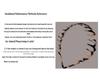 Women's 2025 Large Wave Anti-Slip Hair Comb Headband for Face Washing