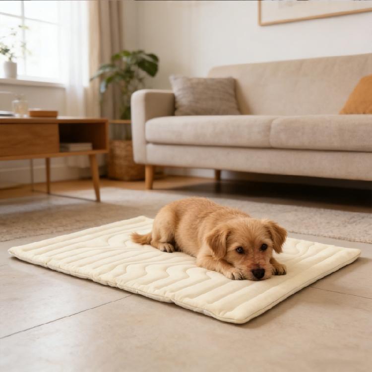 Dog Cooling Mat For Hot Day Sofa Cats Ice Pad Blanket Light weight Comfortable Pet Cooling Pad Pet Accessories